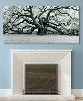 Empire Art Direct Growth Frameless Free Floating Tempered Art Glass Wall Art by Ead Art Coop, 36" x 72" x 0.2"