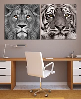 Empire Art Direct King of the Jungle Lion Eye of the Tiger Frameless Free Floating Tempered Glass Panel Graphic Wall Art, 38" x 38" x 0.2"