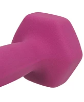 Sunny Health & Fitness Neoprene Dumbbell - 5 lbs Pair