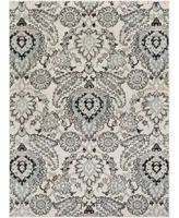 Surya Chester Che 2323 Gray Area Rug