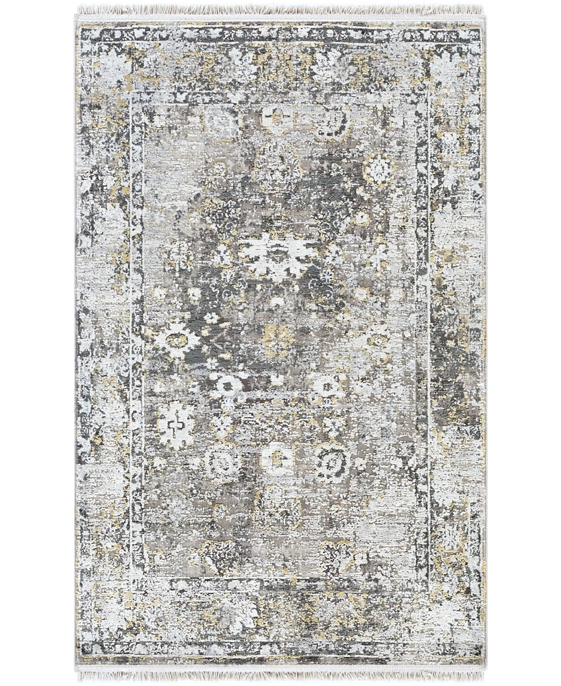 Surya Solar Sor-2308 Charcoal 2' x 3' Area Rug
