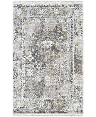 Surya Solar Sor-2308 Charcoal 2' x 3' Area Rug