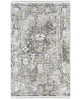 Surya Solar Sor-2308 Charcoal 2' x 3' Area Rug