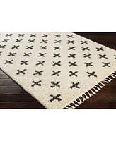 Surya Berber Shag Bbe 2310 Charcoal Area Rug