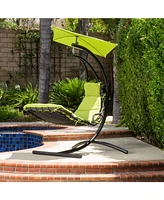 Noble House Piiholo Outdoor Hanging Chair with Cushions