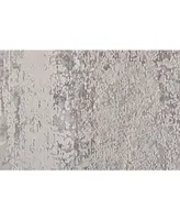 Feizy Cadiz R3888 Silver 4'10" x 7'10" Area Rug