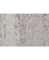 Feizy Cadiz R3888 Silver 3'1" x 10' Runner Rug
