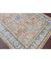 Amer Rugs Century Cen-16 Coral 2' x 3' Area Rug