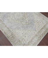 Amer Rugs Century Cen-11 Gray/Ivory 5'3" x 7'3" Area Rug