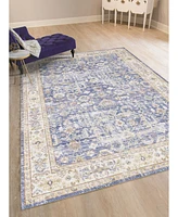 Amer Rugs Century Cen-6 Lavender 3'11" x 5'11" Area Rug
