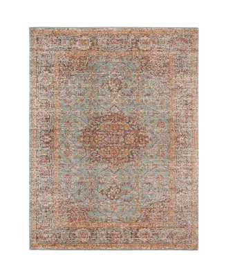 Amer Rugs Eternal Ete-30 Mint 3'11" x 5'11" Area Rug