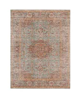 Amer Rugs Eternal Ete-30 Mint 3'11" x 5'11" Area Rug