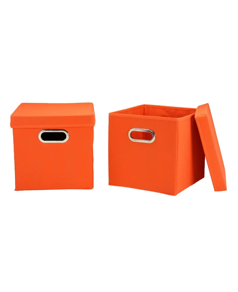 Household Essential Storage Bins with Lids