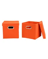 Household Essential Storage Bins with Lids