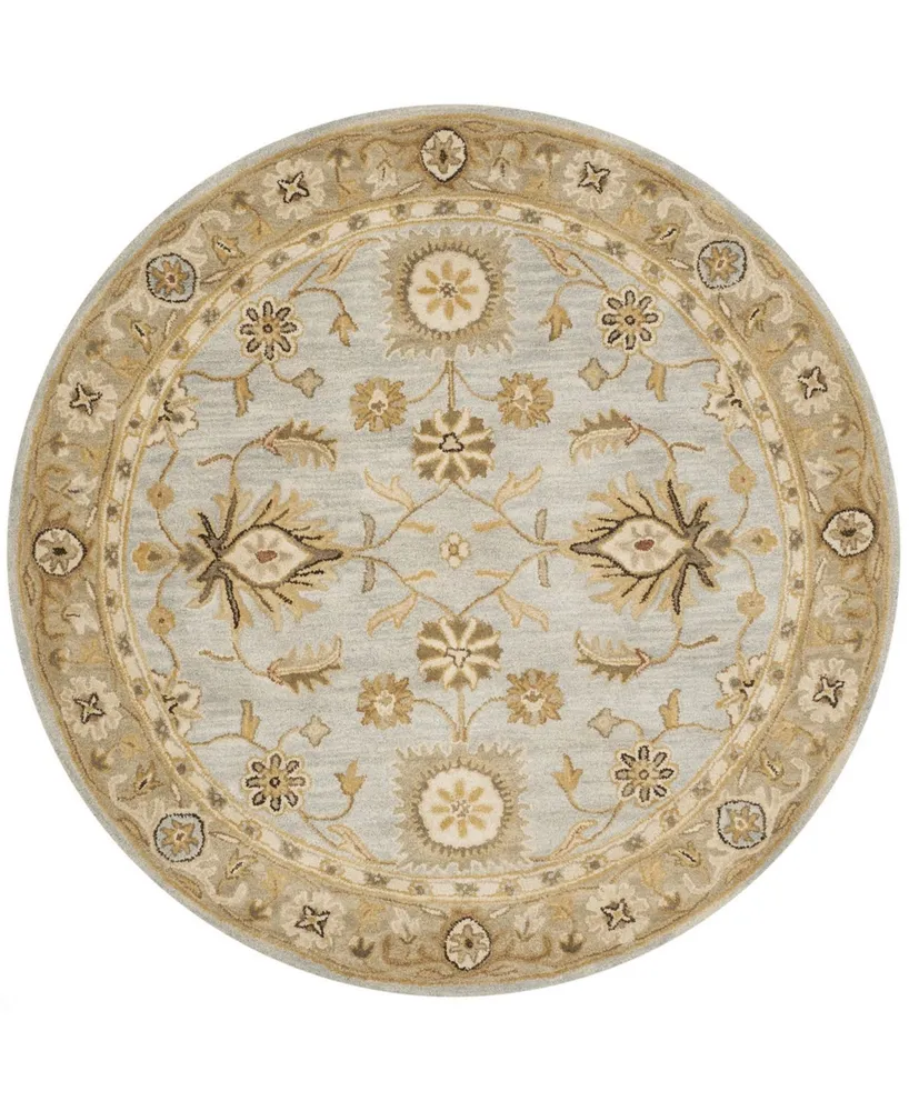 Safavieh Antiquity At856 Mist and Sage 6' x 6' Round Area Rug