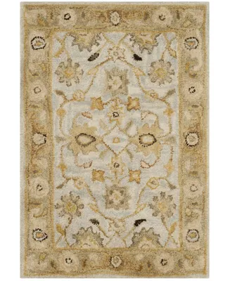 Safavieh Antiquity At856 Mist and Sage 2' x 3' Area Rug