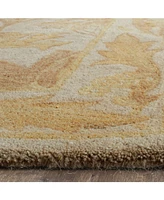 Safavieh Antiquity At841 Beige and Gold 4' x 6' Area Rug