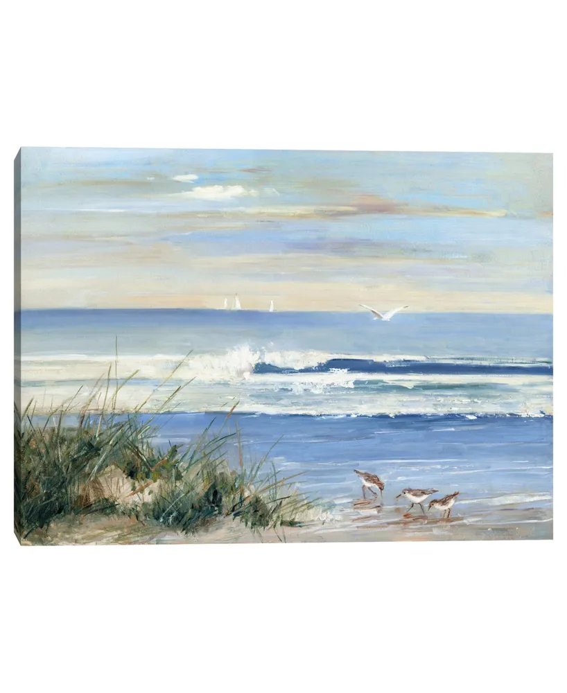 Beachcombers by Sally Swatland Canvas Art Print