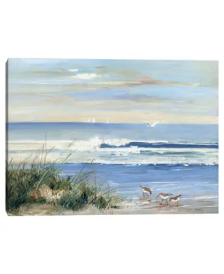 Beachcombers by Sally Swatland Canvas Art Print