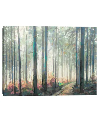 Woodland Journey by Studio Arts Canvas Art Print