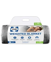 Sealy 48" x 72" Weighted Blanket