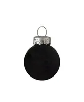 Northlight 24 Count Shiny and Matte Glass Ball Christmas Ornaments