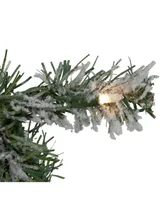 Northlight Pre-Lit Flocked Victoria Pine Artificial Christmas Garland-Clear Lights