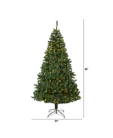 Nearly Natural Northern Tip Artificial Christmas Tree with 450 Clear Led Lights