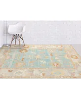 Amer Rugs Bohemian Bhm-3 Aqua and Beige 5'1" x 7'6" Outdoor Area Rug