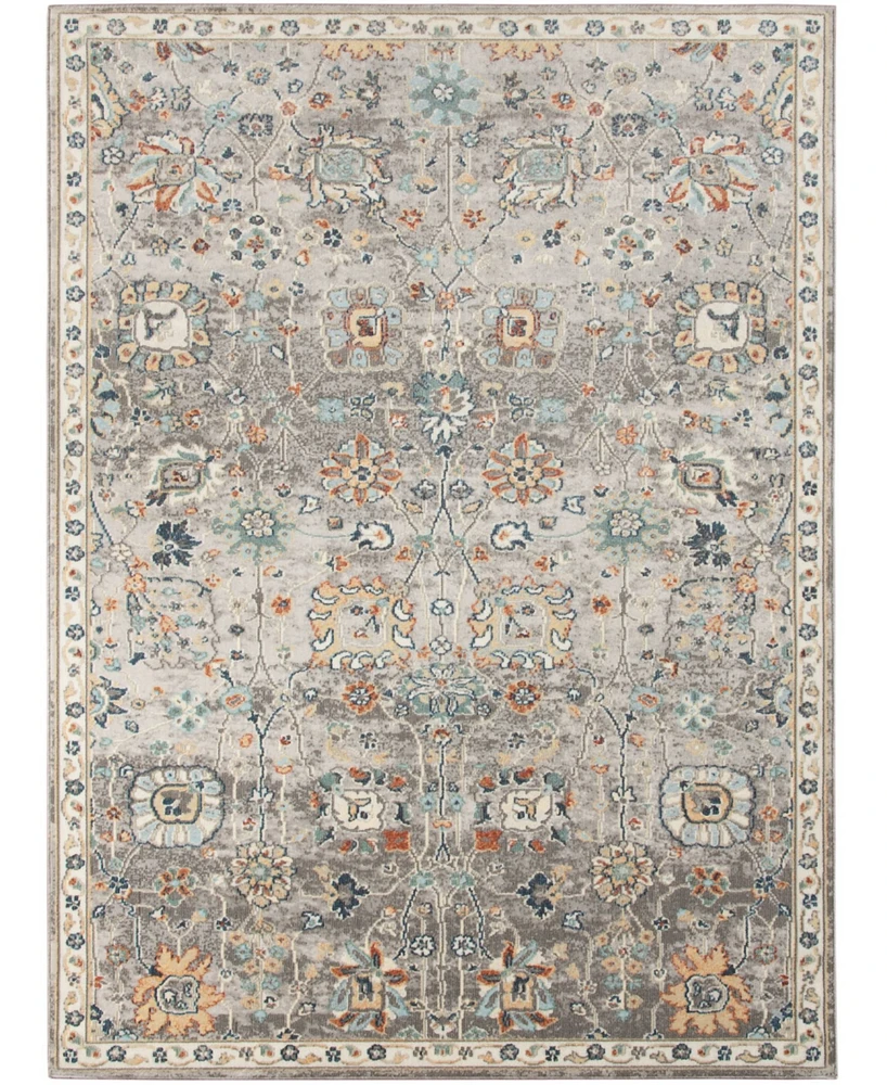 Amer Rugs Bohemian Bhm-6 Gray 5'1" x 7'6" Outdoor Area Rug