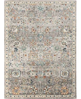 Amer Rugs Bohemian Bhm-6 Gray 5'1" x 7'6" Outdoor Area Rug