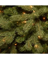 National Tree 4' "Feel Real" Downs-wept Douglas Fir Entrance Tree with 100 Clear Lights Dark Bronze Plastic Pot