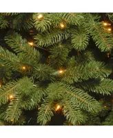 National Tree Company 4.5 ft. Newberry Spruce Tree with Clear Lights