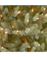 National Tree Company 6.5' Feel Real Norway Tree with 750 Clear Lights