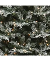 National Tree Company 7.5 ft. Snowy Stonington Fir Tree with Dual Color Led Lights