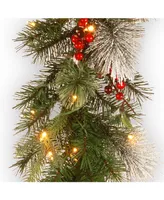 National Tree Company 9' Feel Real Wintry Berry Collection Garlands with Big Pine Cones, Red Berries & Snowy Bristle with 70 Clear Lights