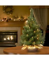 National Tree Company 24" Majestic Fir Tree in Gold Cloth Bag with 35 Clear lights