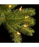 National Tree 7.5' "Feel Real" Down Swept Douglas Fir Hinged Tree with Led Lights