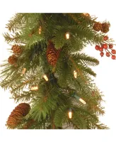 National Tree 6' Noelle Garland with 60 SoftWhite Led Battery Operated Lights