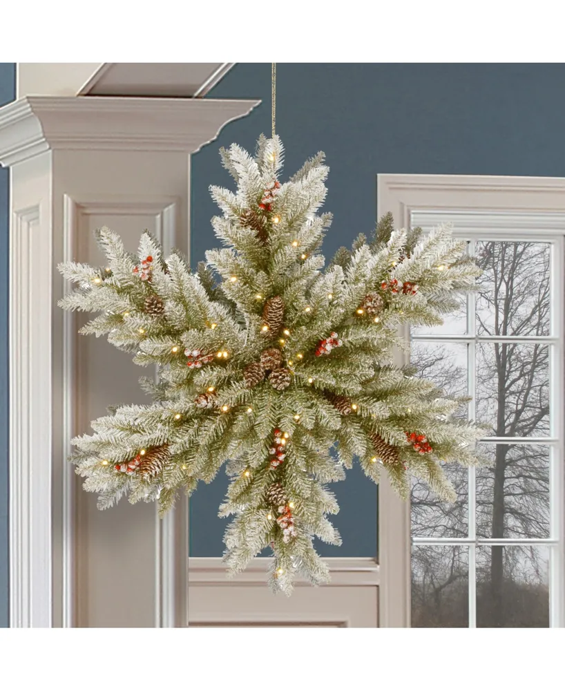 National Tree Company 32" Snowy Dunhill Fir Double Sided Snowflake with Cones, Red Berries & 100 Warm White Battery Operated Led Lights w/Timer
