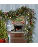 National Tree Company 9 ft. Bristle Berry Pine Garland with Battery Operated Led Lights