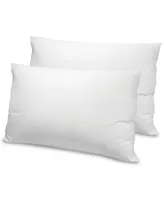 SensorPEDIC Fresh & Clean Ultra-Fresh Antimicrobial 2-Pack Pillows, Standard