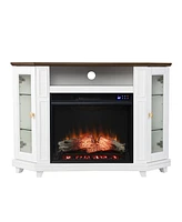 Dilvon Electric Media Fireplace with Storage