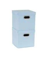 Premium Storage Bins with Lids, Set of 2