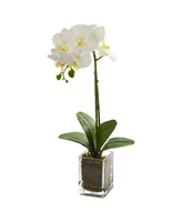 24" Orchid Phalaenopsis Artificial Arrangement in Vase