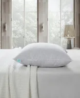 Martha Stewart Feather Firm 2-Pack Pillow