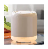 SpaRoom DuoMist Dual-Tank Ultrasonic Essential Oil Aromatherapy Diffuser