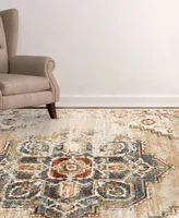 Amer Rugs Allure Ara 5'1" x 7'6" Area Rug - Gold