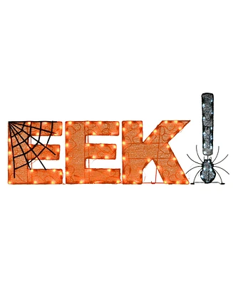 National Tree Company 50" Pre-Lit Halloween Eek Decoration