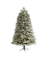 Flocked Colorado Mountain Fir Artificial Christmas Tree with Instant Connect Technology, 6'